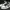 Nike Streetwear Sportswear Sneakers Pria black gray photo 1