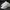Nike Vintage Streetwear Sneakers Pria white gray photo 1