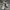 Nike Sportswear Other Pria white photo 2