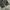 Y2K Skater Tracksuit Pria white black photo 3
