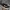 Sportswear Casual shoe Pria black photo 3