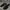 Sportswear Casual Shoe Pria Black