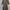 Y2K Bodycon dress Wanita brown photo 1