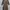Y2K Bodycon Dress Wanita Brown