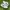 Nike Casual Sneakers Pria White