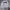 Patagonia Casual Sweater Pria gray photo 5