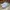 Nike Casual Sneakers Pria white photo 3