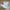 Nike Casual Sneakers Pria white photo 1