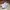 Adidas Casual Sneakers Pria white photo 3