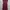 Casual Casual dress Wanita burgundy photo 1