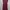 Casual Casual Dress Wanita Burgundy