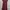 Casual Casual dress Wanita burgundy photo 2