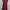 Casual Casual Dress Wanita Burgundy