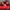 Puma Casual Sandals & Slide Kids Red