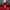 Puma Casual Sandals & slide Kids red photo 2