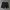Supreme Streetwear Skater Boxer Pria black photo 2