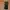 Miu Miu Luxury Avant Garde Bag Pria green photo 3