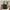 Miu Miu Luxury Avant Garde Bag Pria green photo 1