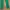 Tsumori Chisato Minimalist Casual Casual trouser Wanita green photo 3