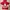 Adidas Sportswear Casual Hoody Pria Red