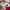 Stussy Streetwear Hoody Pria pink photo 5