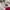 Stussy Streetwear Hoody Pria pink photo 4
