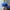 Champion Casual Hat Pria blue photo 2