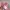 Ed Hardy Streetwear Y2K Hat Wanita pink photo 5