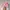 Ed Hardy Streetwear Y2K Hat Wanita Pink