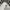 Adidas Sportswear Casual Track jacket Pria white photo 5