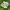 Nike Casual Sneakers Pria white photo 1