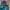 Millet Y2K Gorpcore Windbreaker Pria gray blue photo 6