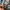 Millet Y2K Gorpcore Windbreaker Pria gray blue photo 8