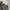 Carhartt Vintage Casual Pria gray photo 2