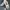 Nike Air More Uptempo 96 Whitevarsity  photo 4