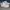 Nike Air More Uptempo 96 Whitevarsity  photo 2
