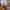 Converse Casual Sneakers Pria orange photo 5