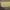 Louis Vuitton Luxury Lolita Crossbody Bag Wanita tan photo 8