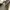 Louis Vuitton Luxury Lolita Crossbody Bag Wanita tan photo 6