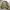 Luxury Minimalist Cardigan Pria green photo 1