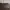 Louis Vuitton Luxury Casual Shoulder bag Wanita brown photo 5