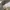 Nike Casual Sneakers Pria white photo 6