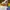 Nike Casual Sneakers Pria multicolor white photo 1