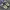 Adidas Sportswear Sneakers Pria navy photo 4