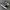 VANS Streetwear Sneakers Pria white black photo 1