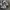 VANS Streetwear Sneakers Pria white black photo 3