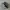 VANS Streetwear Sneakers Pria white black photo 1