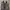 VANS Streetwear Sneakers Pria white black photo 2