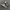 Nike Sportswear Sneakers Pria white black photo 1