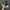 Nike Sportswear Sneakers Pria white black photo 2